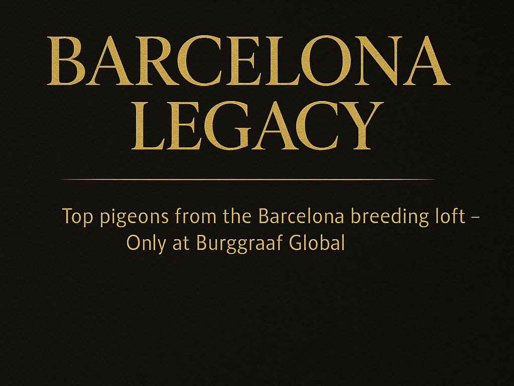 Barcelona Legacy
